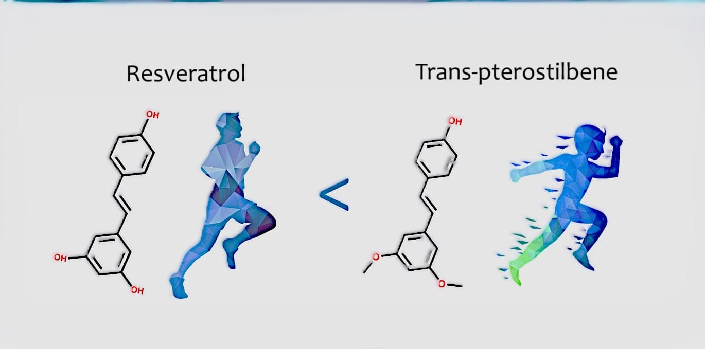Trans-pterostilbene vs resveratrol antioxidantul viitorului