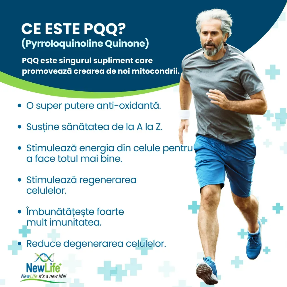 PQQ-2.webp