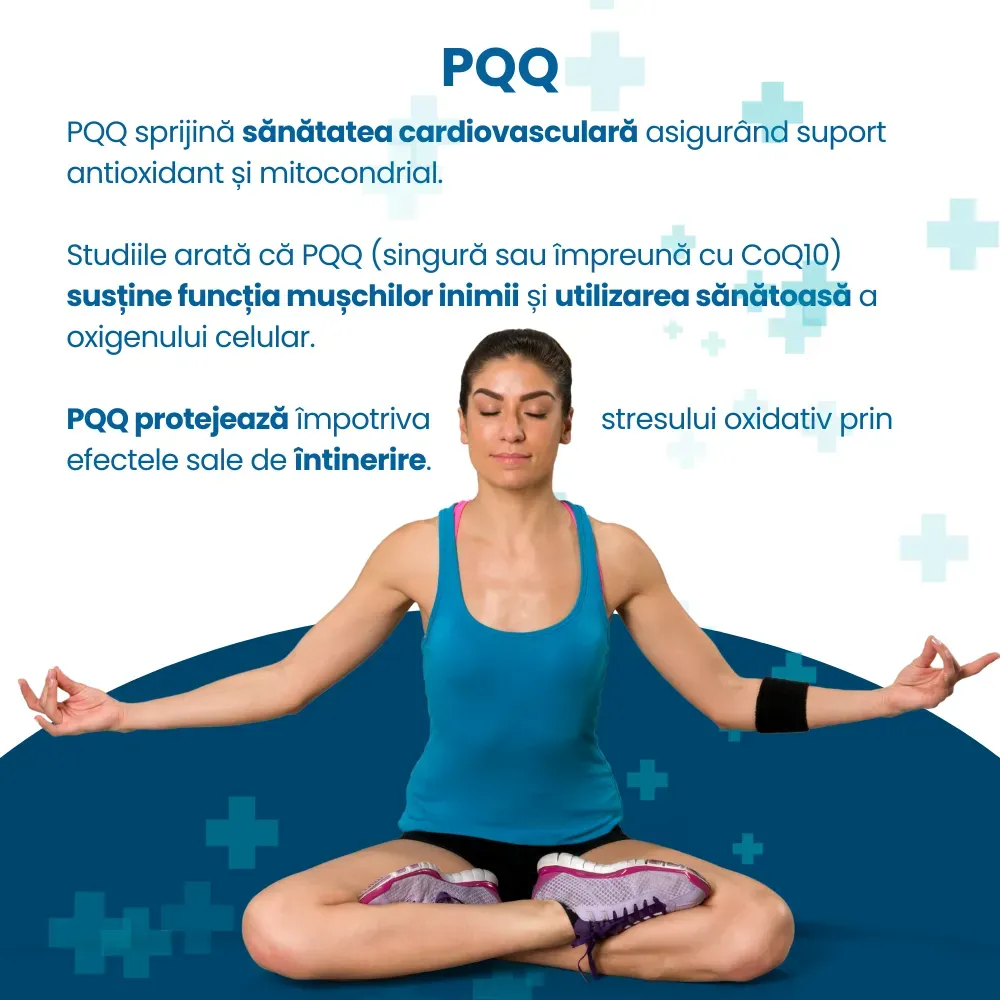 PQQ-3.webp